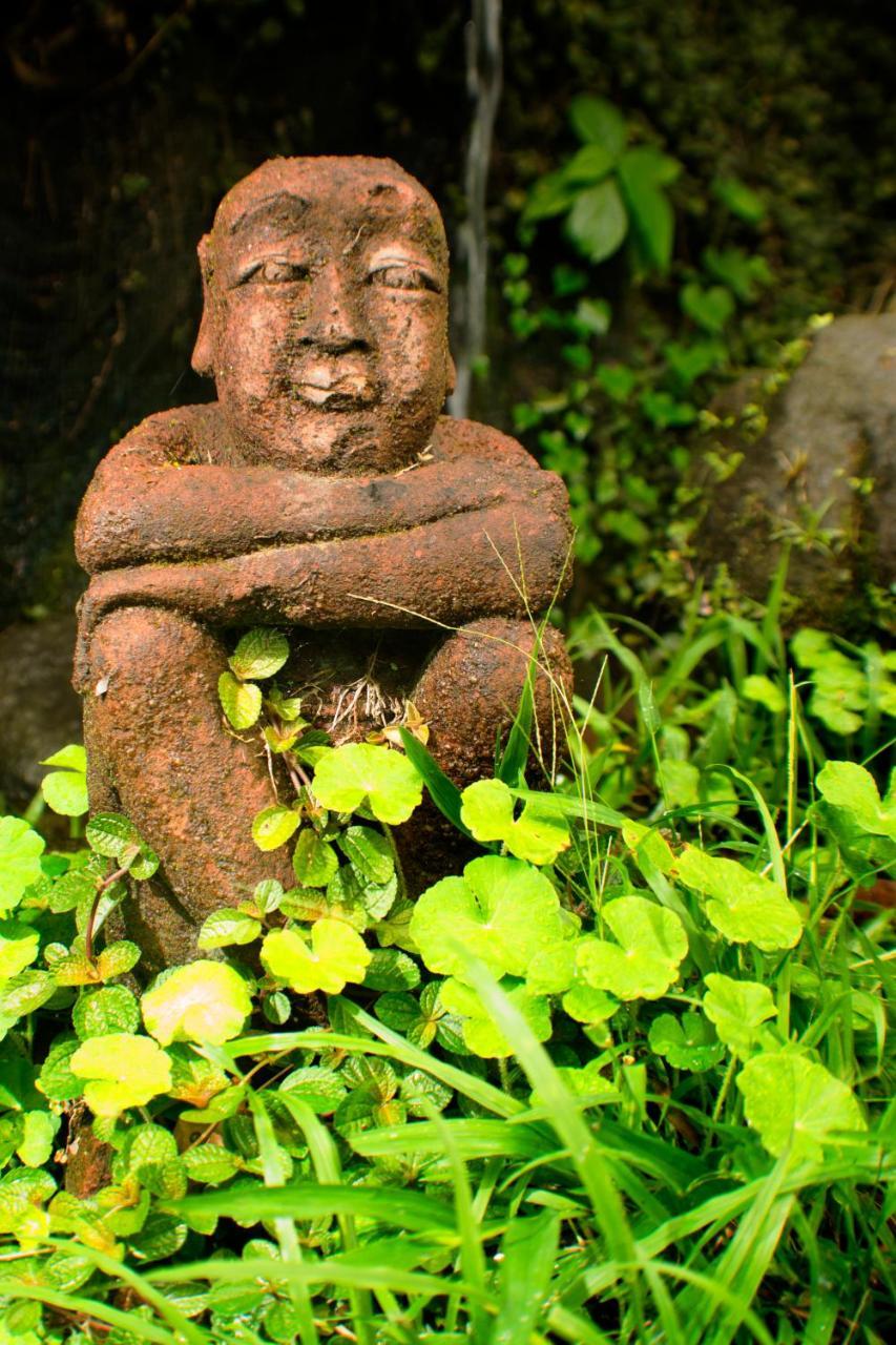 Lost Iguana Resort And Spa La Fortuna Exterior photo